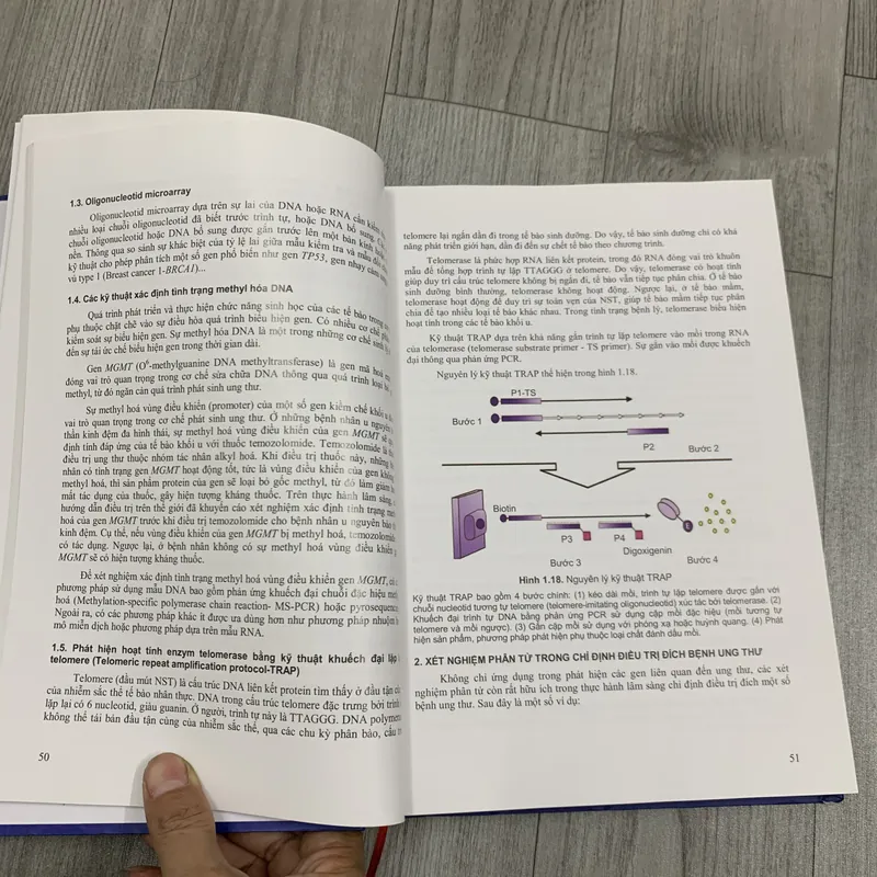 Kháng thể đơn dòng và phân tử nhỏ trong điều trị bệnh ung thư. 8a3 655247