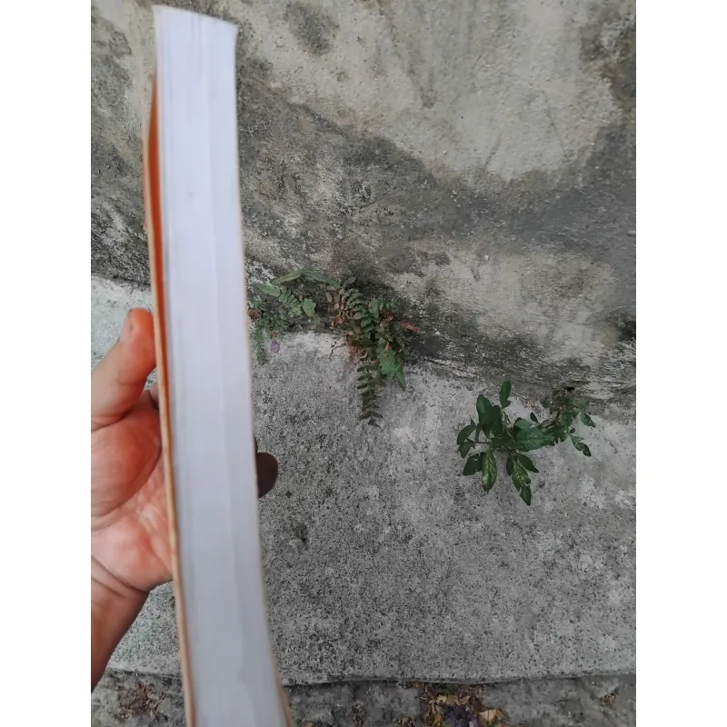 Quả đất quê hương của Edgar Morin và Anne Brigitte Kem  1026214