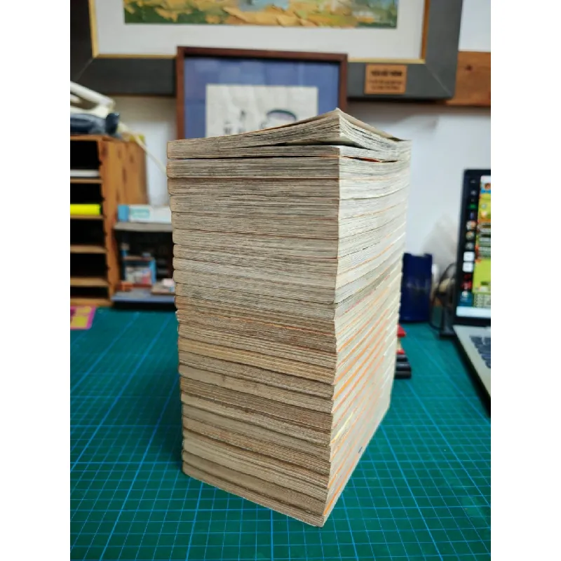 TRUYỆN TRANH Skip Beat! - Yoshiki Nakamura 139373