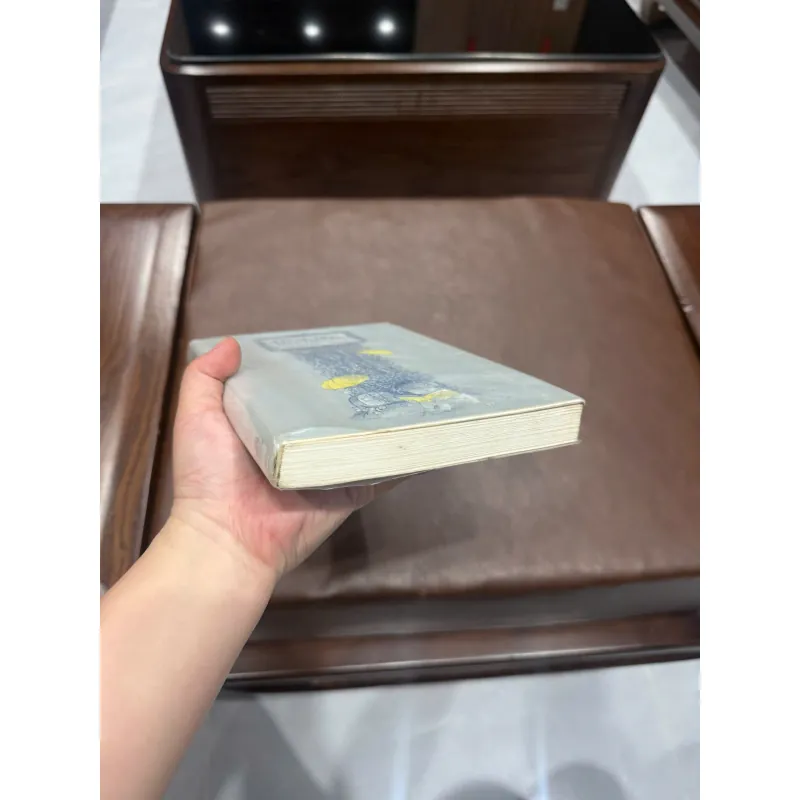 Em Sẽ Đến Cùng Cơn Mưa – Ichikawa Takuji | Tiểu Thuyết Nhật Bản Cảm Động- K3 1013569