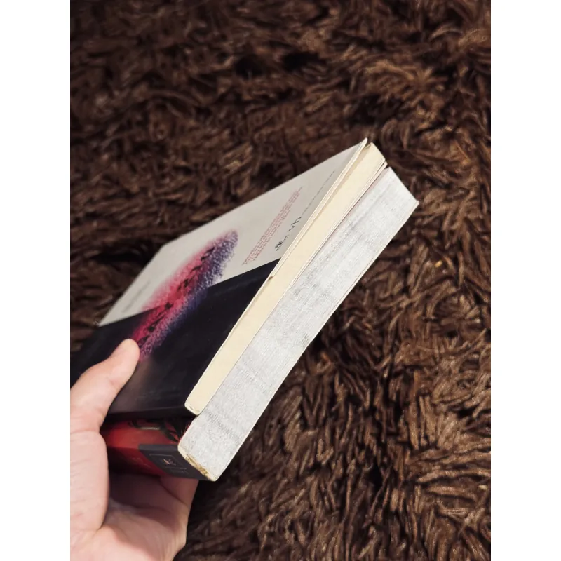 Combo 2c Natsume Soseki 1017667