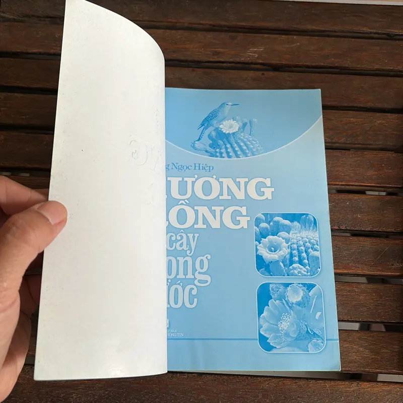 II Cây Cảnh: Xương Rồng Và Cây Mọng Nước (Sách Màu) - Dương Ngọc Hiệp 718583