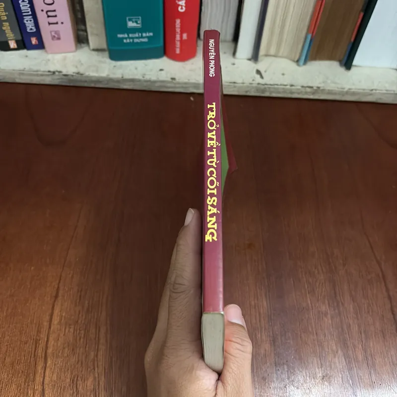 Tựa sách: Trở về từ cõi sáng - Nguyên Phong 414026