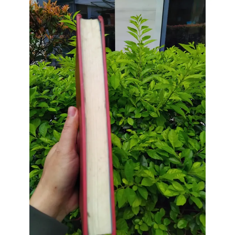 Thơ ca Việt Nam hình thức và thể loại  960859