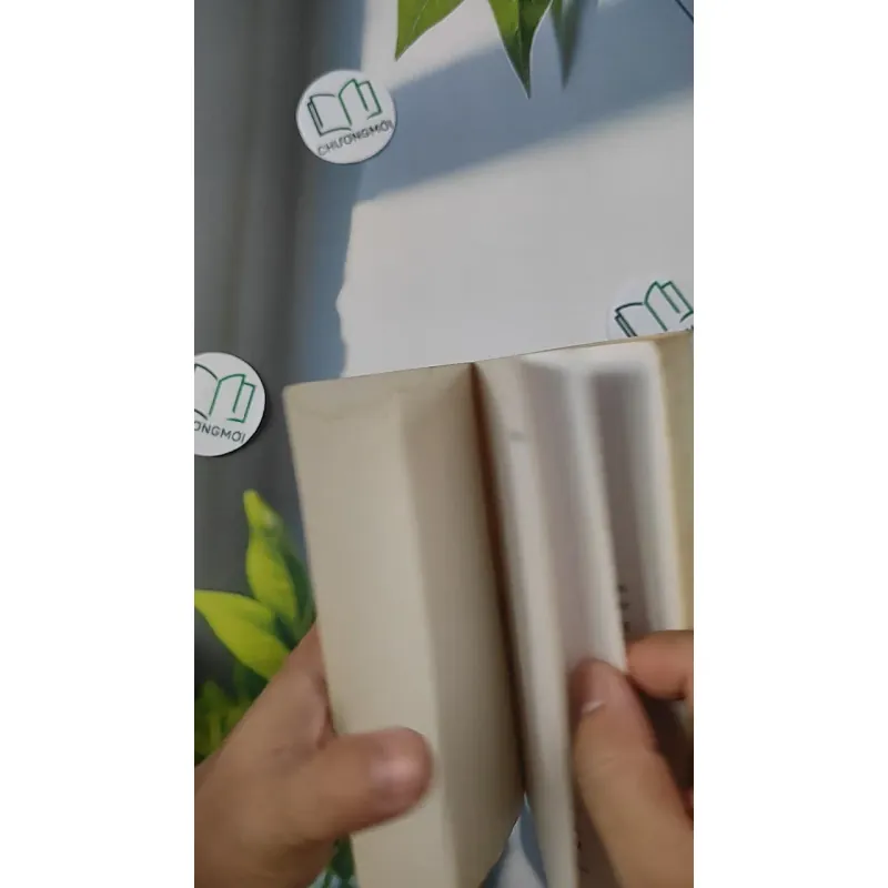 [MIỄN PHÍ BỌC SÁCH] Và Khi Tro Bụi - Đoàn Minh Phượng 798307