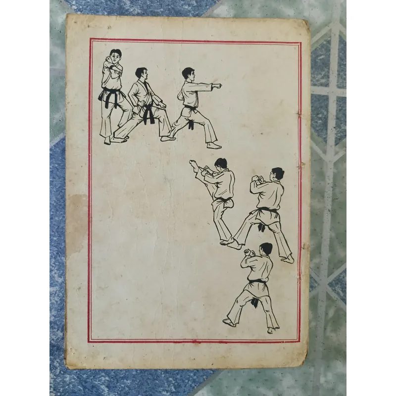 Nhập môn Thái cực Đạo đại Hàn - Tae kwon do - Phan Chấn Thanh & Choi Nam Stu 7 đẳng 708479