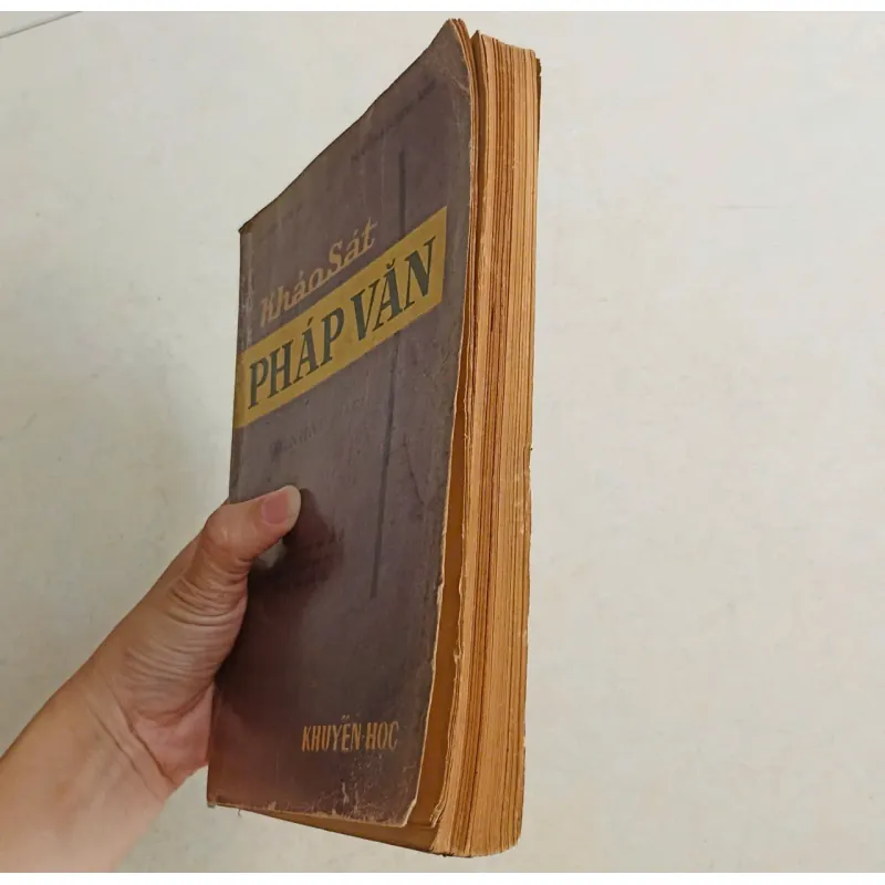 Khảo sát pháp văn 🌻 588496