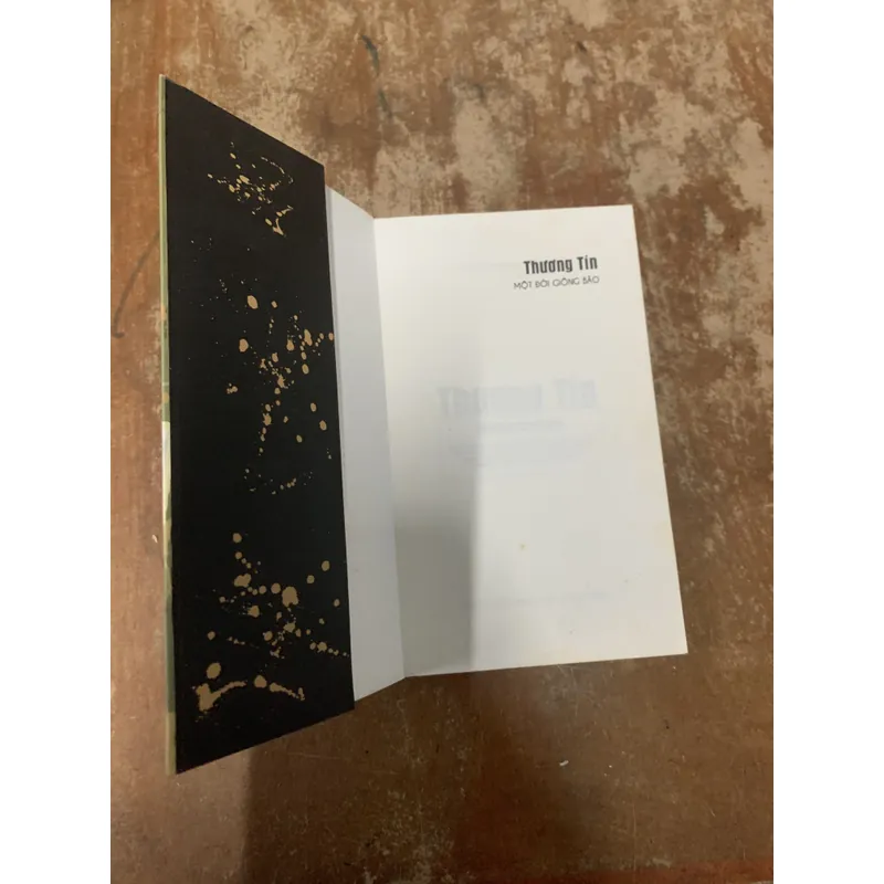 HỒI KÝ THƯƠNG TÍN - ĐINH THU HIỀN CHẮP BÚT 740867