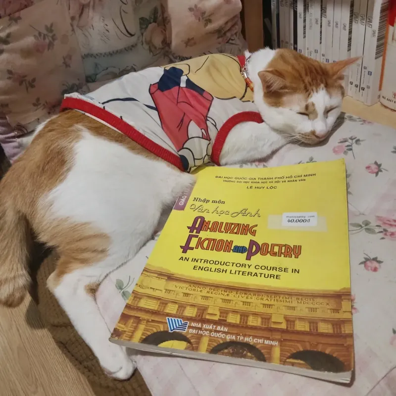 Nhập môn Văn học Anh - Lê Huy Lộc 925569