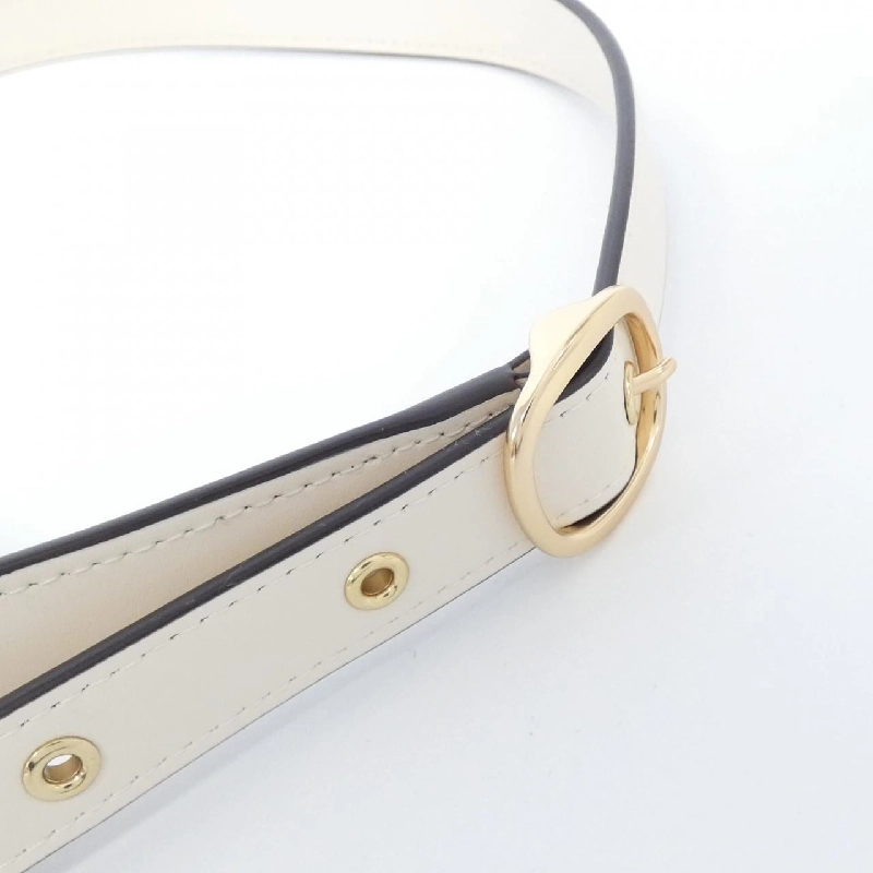 Túi đeo vai Coach CP005 - Hàng hiệu Chính hãng 770818