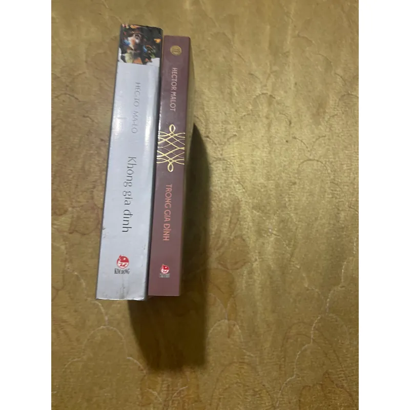 COMBO KHÔNG GIA ĐÌNH+TRONG GIA ĐÌNH- HECTOR MALOT 559426
