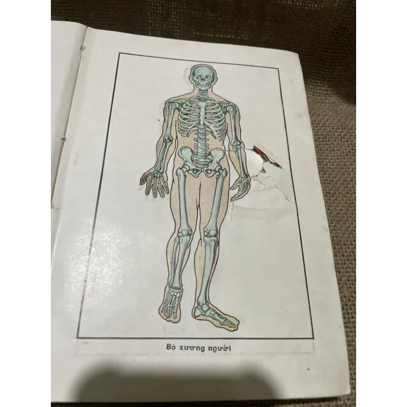 Sức khỏe chị nam- sách y trước 75-  800213