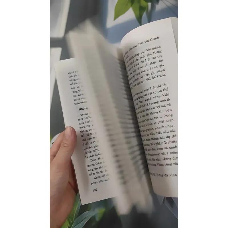 Gương Sáng Học Sinh, Sinh Viên 961237