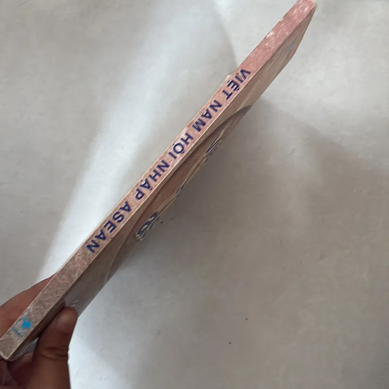 Việt Nam hội nhập Asean 727646