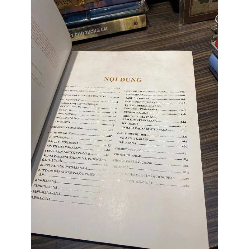 Giải phẫu các tư thế: Mở hông và gập người phía trước 1032041