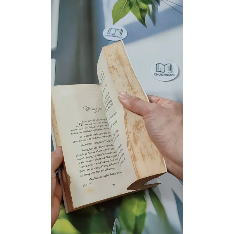 Tôi Như Ánh Dương Rạng Rỡ - Cố Mạn 744697