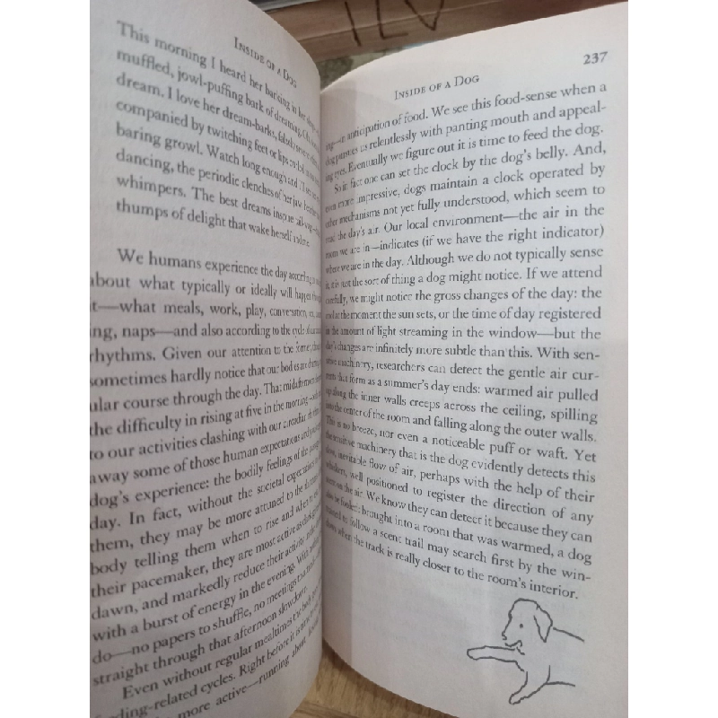 Inside of a dog - Alexandra Horowitz 537801