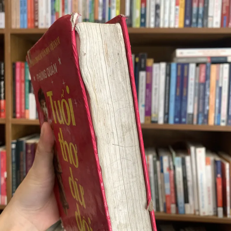 (Bìa cứng) Tuổi thơ dữ dội - Phùng Quán 708417