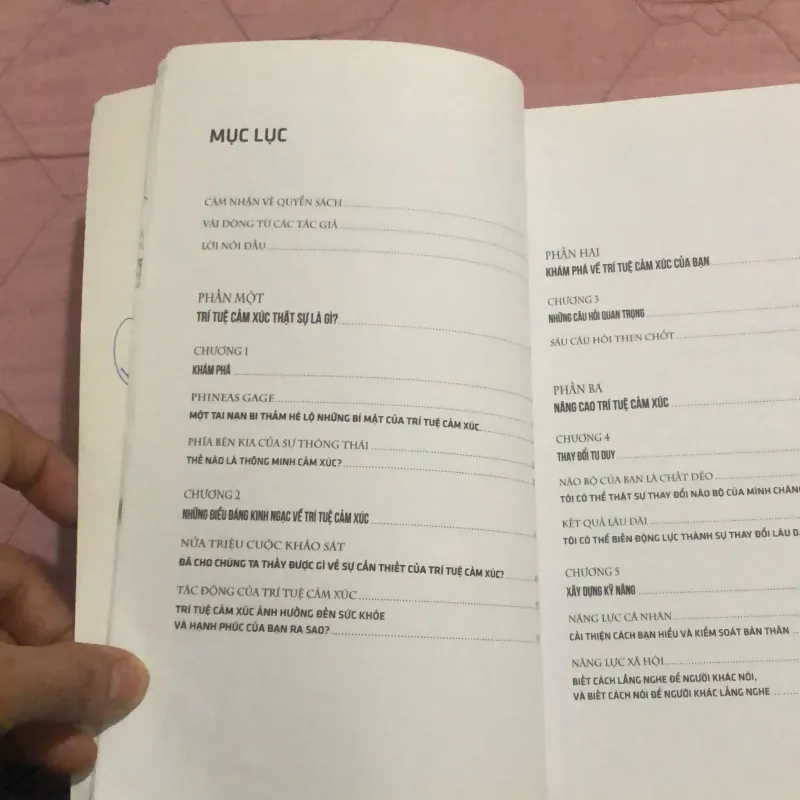 Thông minh cảm xúc để thành công  790548