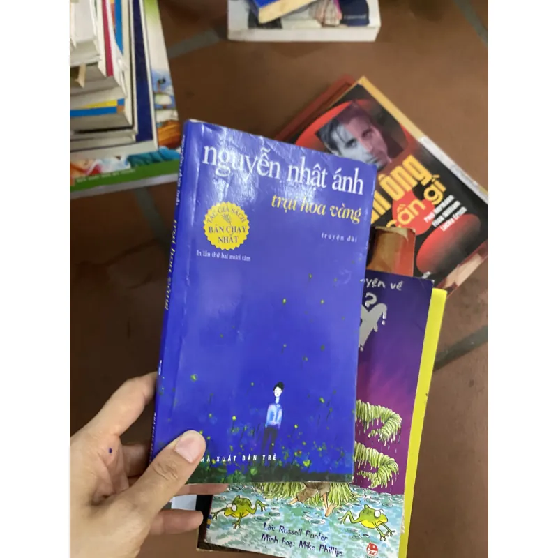 Trại hoa vàng 4952
