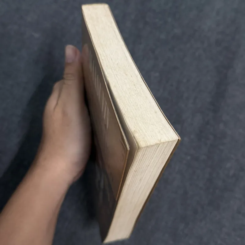 Một mùa hè vắng bóng chim - Han Suyin 1009717