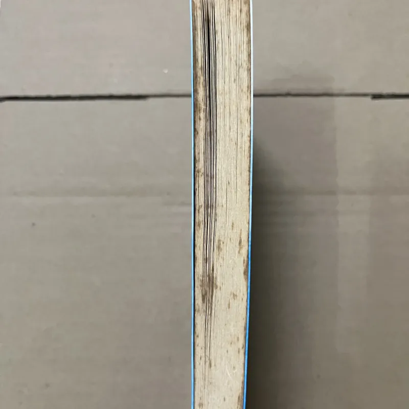 Người lớn cô đơn 1019487