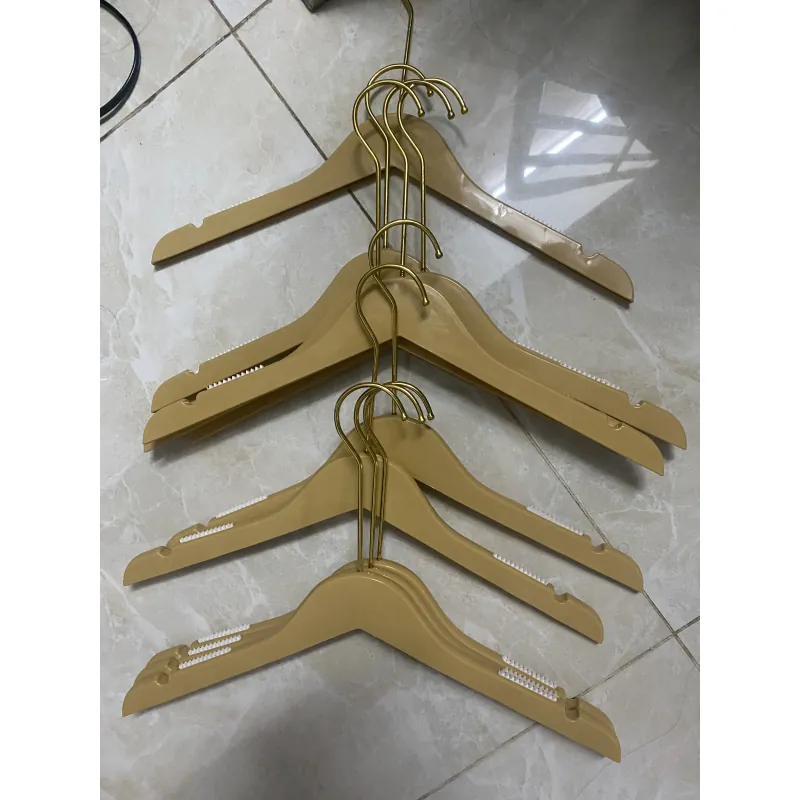 10 mócquần áo nhựa 1023315