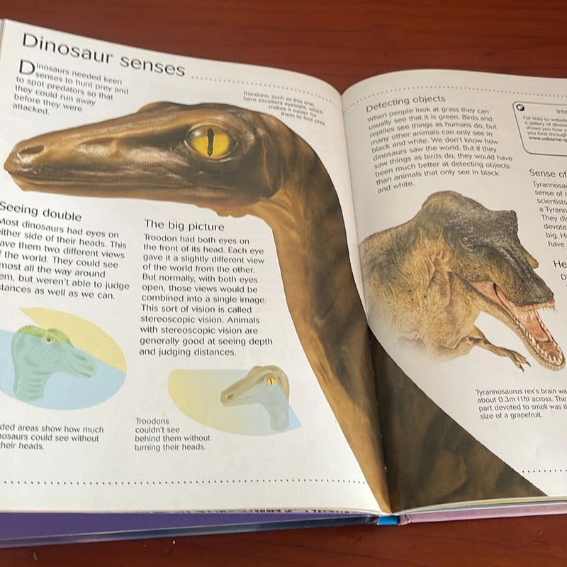 PICTURE BOOK Dinosaurs 536662
