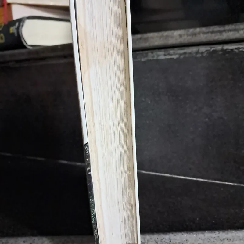 Tiếng chim hót trong  1000602