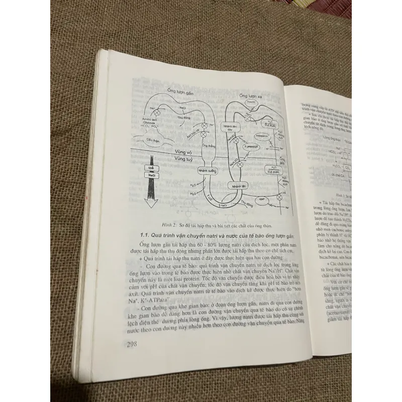 BÀI GIẢNG BỆNH HỌC NỘI KHOA TẬP 1 TIM MẠCH - THẬN - SÁCH Y KHỔ LỚN 569789