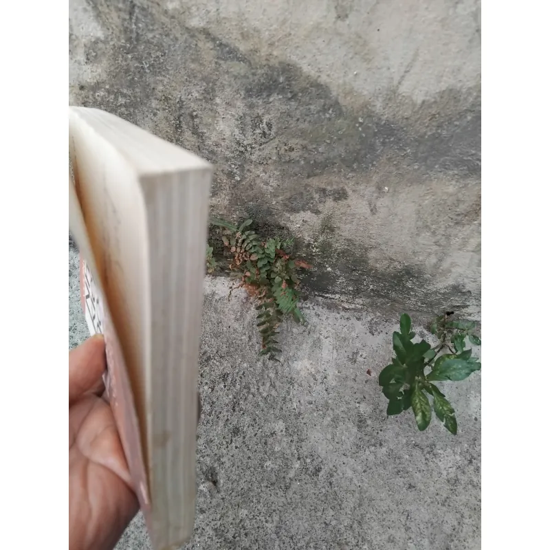 Những kiếp hoa dại của Vương Trí Nhàn  1026224