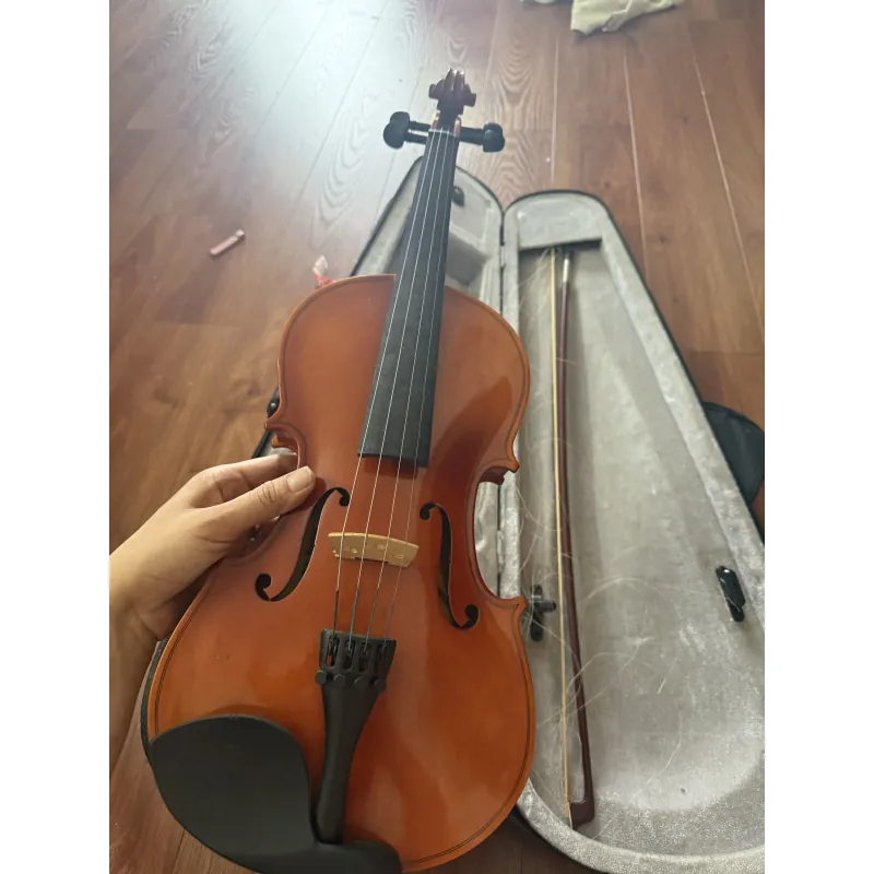 Đàn vĩ cầm 936577