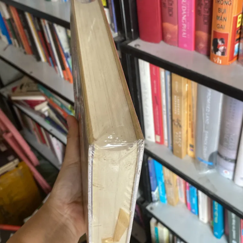 Những ngôi sao Eger 568409