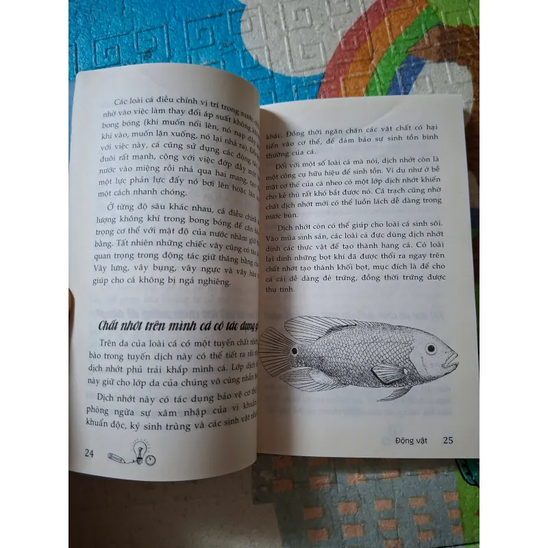 10 Vạn Câu Hỏi Vì Sao – Động Vật 1004976