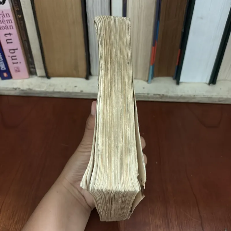 II Tiểu Thuyết: Đất Làng - Nguyễn Thị Ngọc Tú - 1978 593287