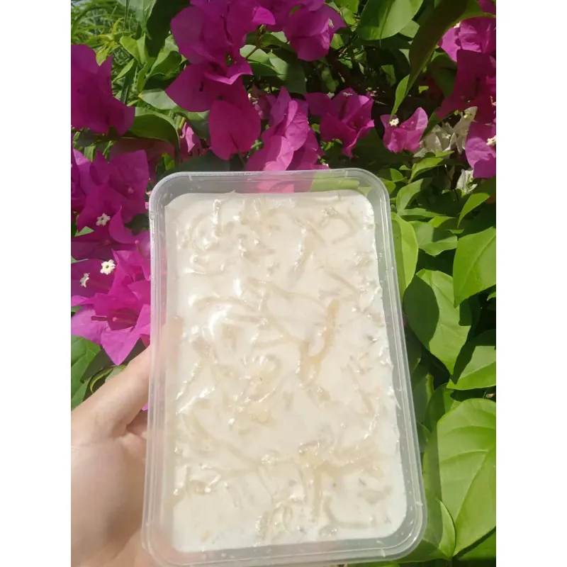 Rong sụn biển muối khô hàng loại 1 cọng to, dày dùng làm nước mát, sâm bổ lượng, trộn gỏi 753643