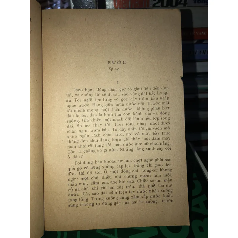 Mùa nấm tràm - Đinh Quang Nhã 787616