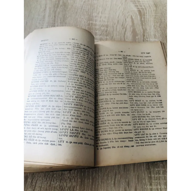 VIỆT NAM TÂN TỰ ĐIỂN 1966 995118