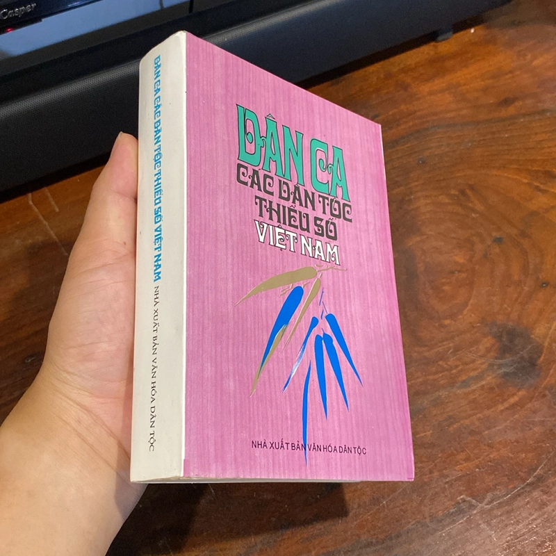 DÂN CA CÁC DÂN TỘC THIỂU SỐ VIỆT NAM (XB 1997) 470912
