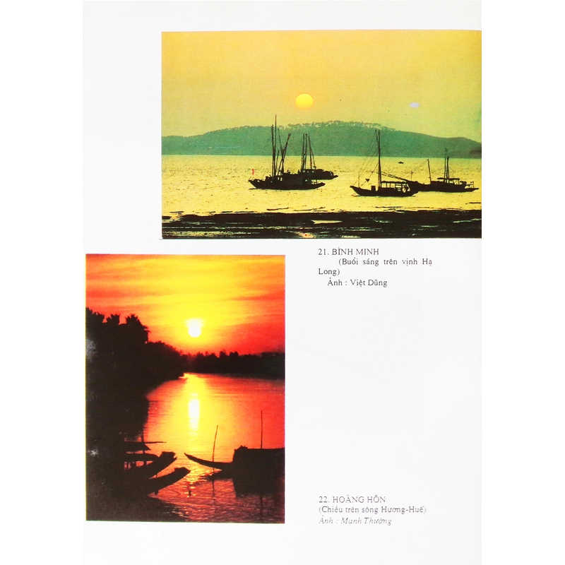 Nghệ thuật Nhiếp ảnh màu 19978
