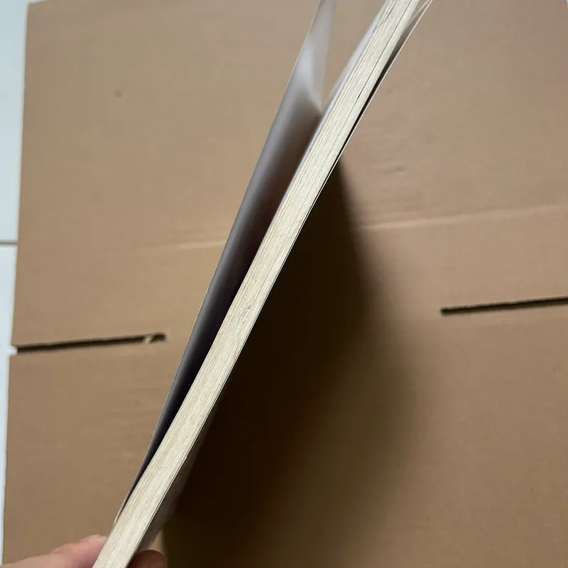 Giáo trình xã hội học giới 622436