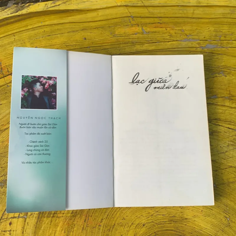 LẠC GIỮA MIỀN ĐAU- NGUYỄN NGỌC THẠCH 746809