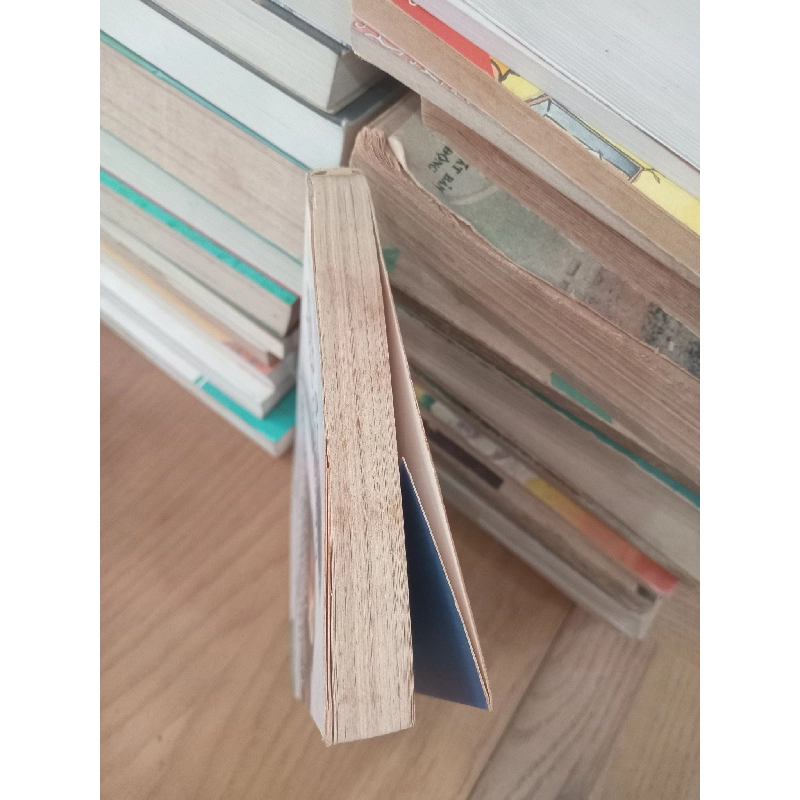 Mèo đen không ngủ - Trương Duyệt Nhiên 189344