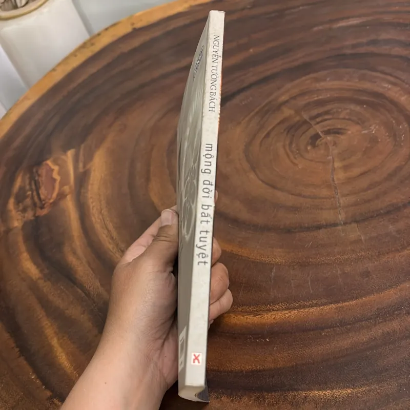 II Tuỳ Bút: Mộng Đời Bất Tuyệt - Nguyễn Tường Bách - 2006 1001905