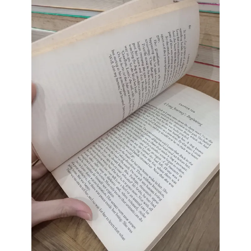 Lassie come-home - Eric Knight 701536