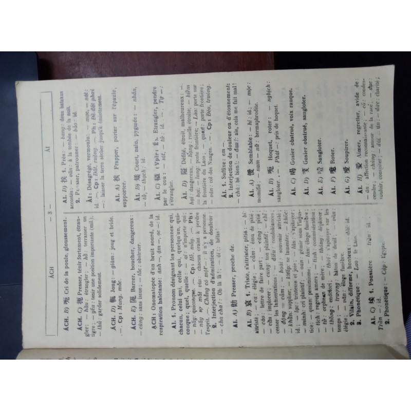 TỬ ĐIỂN VIỆT HOA PHÁP 196671