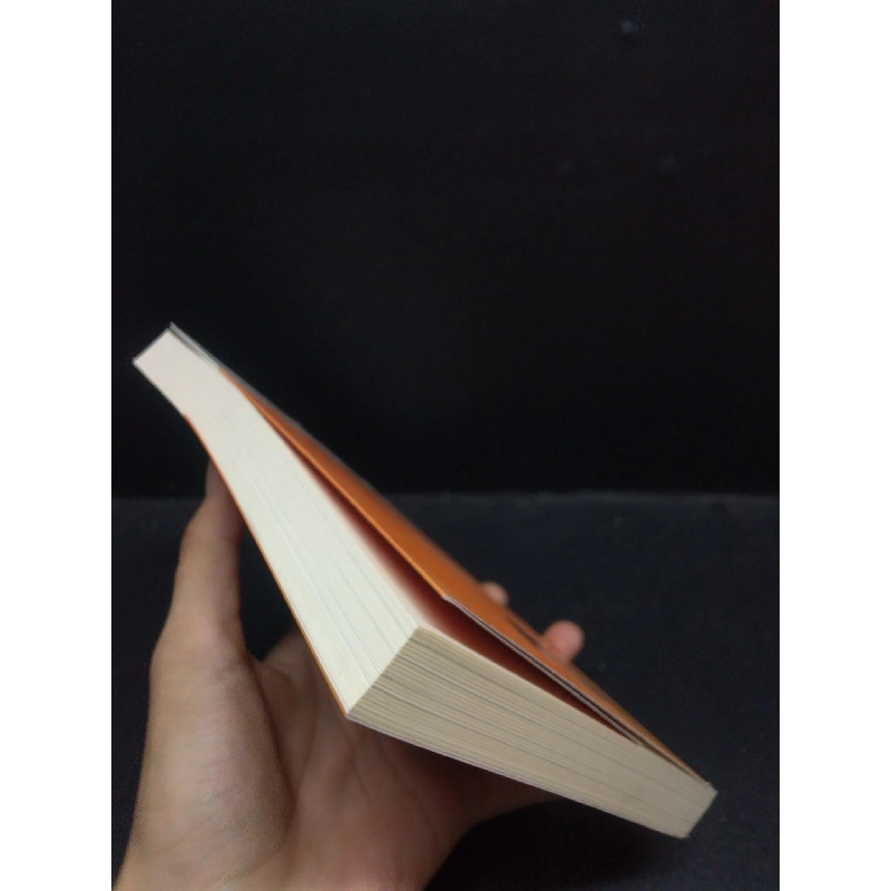 Đi dọc dòng sông Phật Giáo Trần Đức Tuấn 2019 Mới 90% bẩn nhẹ HCM.ASB0309 913743