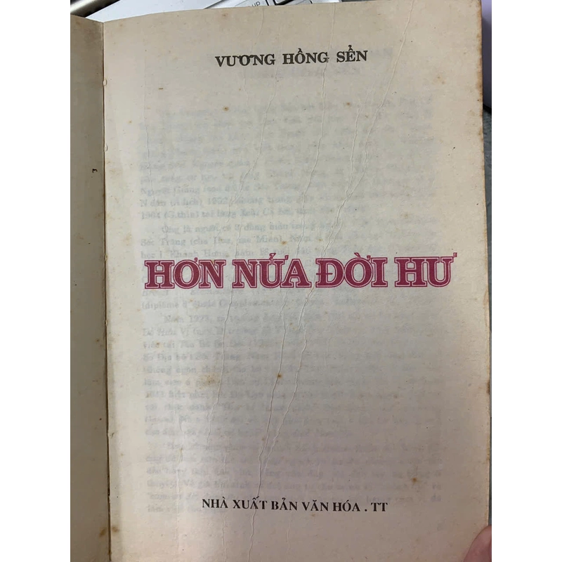 HƠN NỬA ĐỜI HƯ - VƯƠNG HỒNG SỂN 496045