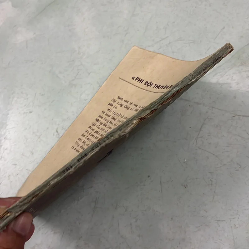 Phi đội thuyền nan - Vũ Quang Vinh 997580