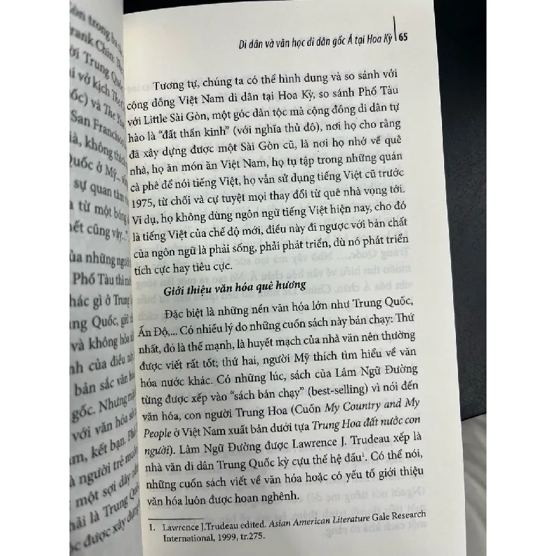 Văn học di dân: phác thảo diện mạo nữ nhà văn Việt Nam tại Hoa Kỳ - Trần Lê Hoa Tranh 674114